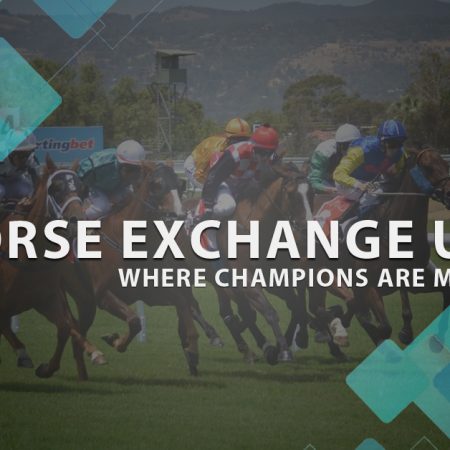 Horse Exchange UK: Where Champions Are Made