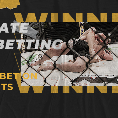Ultimate MMA Betting Guide: How to Bet On UFC Fights Online