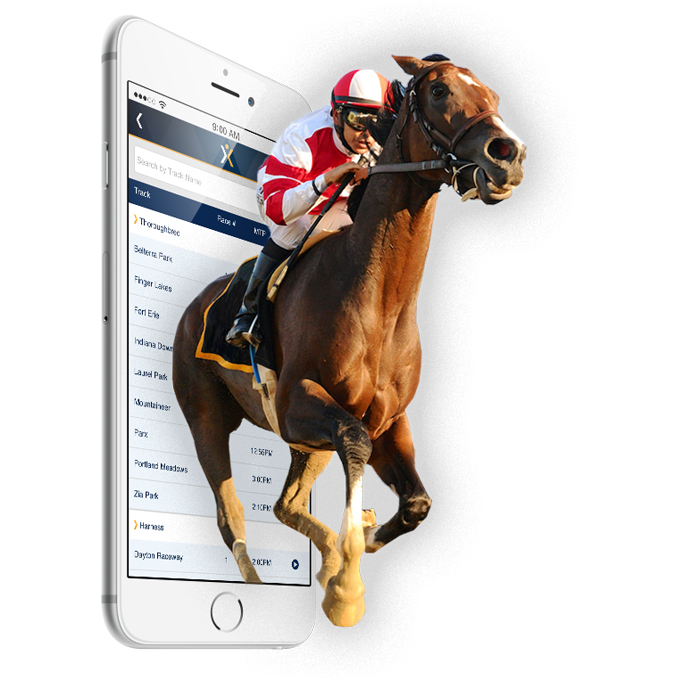 Online Virtual Horse Racing